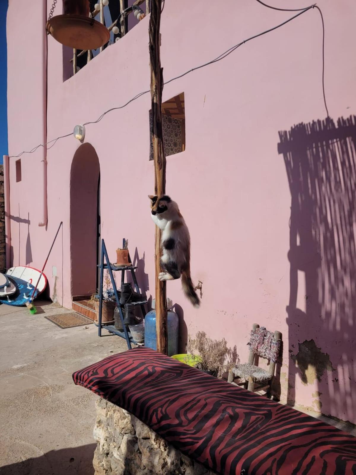 Home Surf Sidi Kaouki Zewnętrze zdjęcie